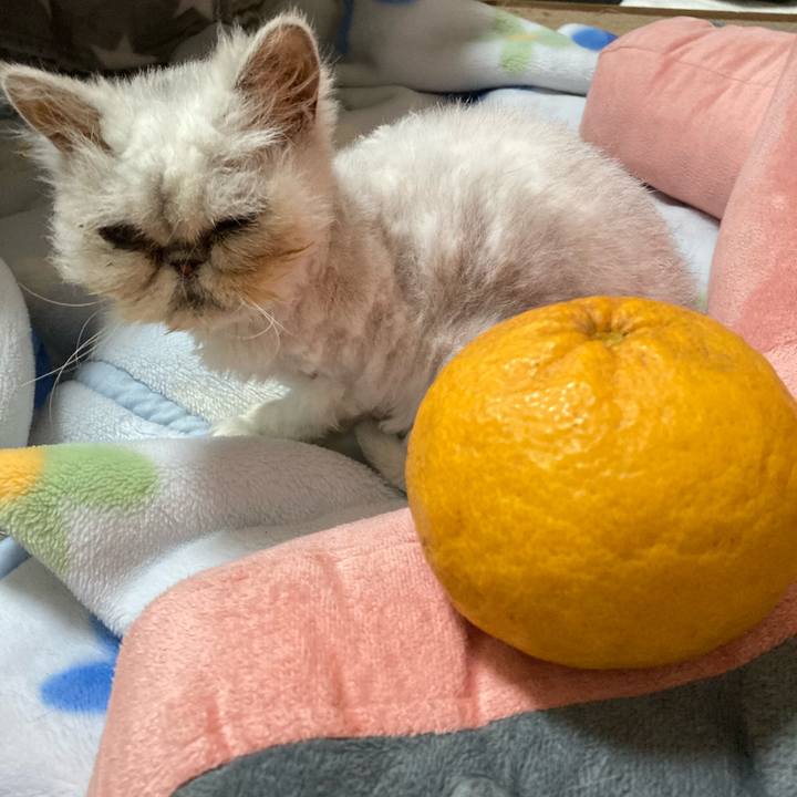 8b1ac630 ad6b 43e4 849f c05843d9f088 1713257970864