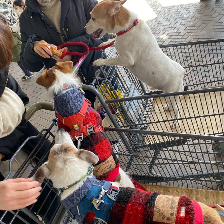 8b1b4aa3 e3b6 4c87 b0f1 86a4f0c65845 1674970855089