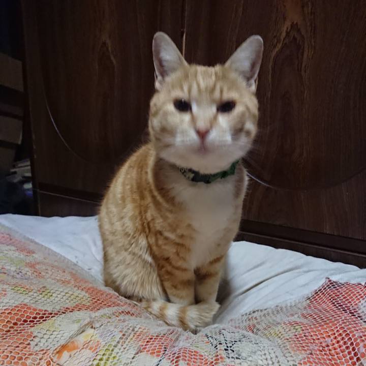 8b1b7e40 560a 4f8a 86f3 c21b29e78fc0 1586171297776