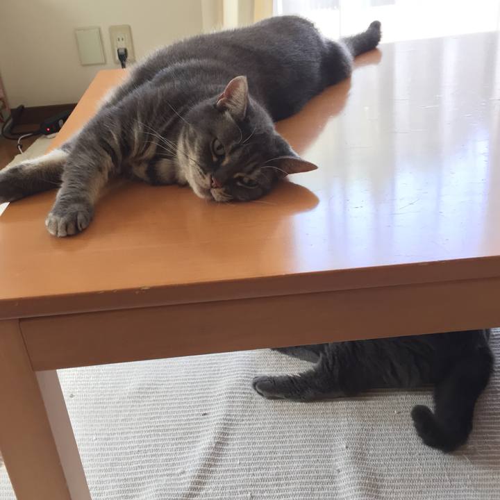 8b1bc37d e139 4774 8dac 5685bdf2559b 1531523829541