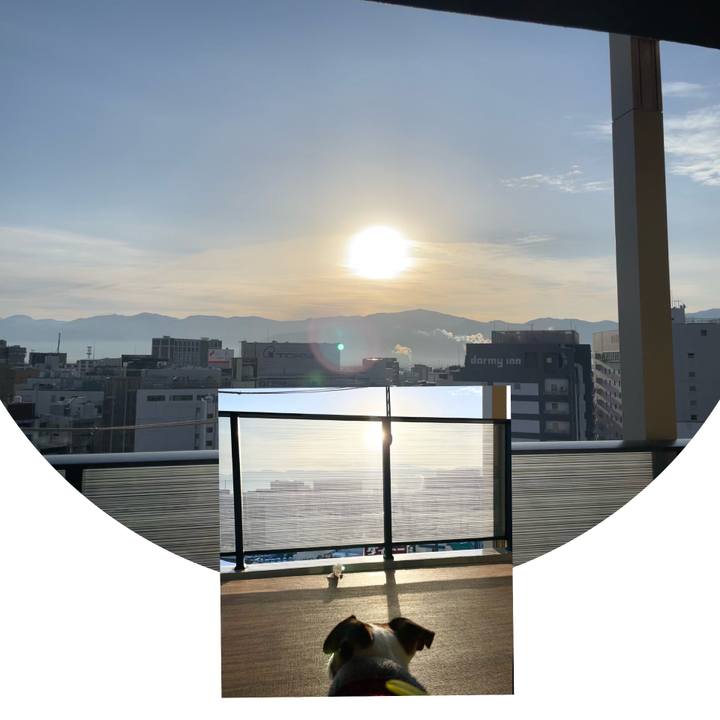 8b1bc6a8 1b3d 4b11 8b1e 9da48b70f097 1739319528432