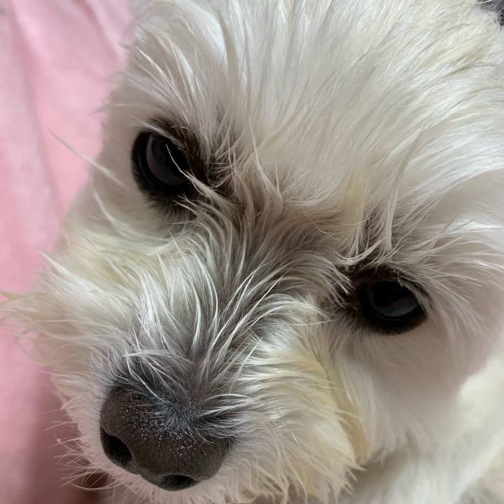 8b1bcb69 8791 4ff0 95bf de6963bcc657 1604755149856