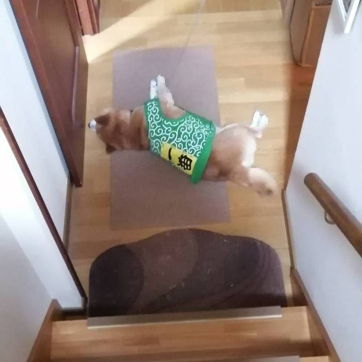 8b1be97e 4aa0 4c7b 8cfd e84dd6b3438e 1587171246468