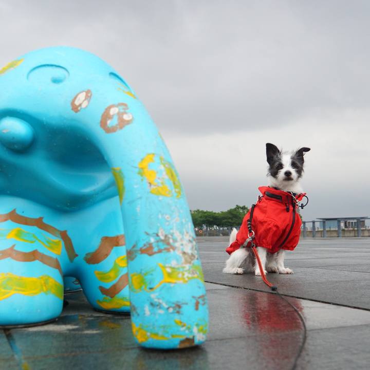 8b1c3ca8 32e1 4eeb bb36 f1b5f6d89736 1529068661316