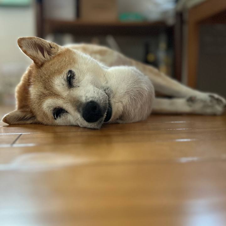 8b1c4f5a 6ec8 4cdb 87aa f11dd5dd9a78 1756521621187