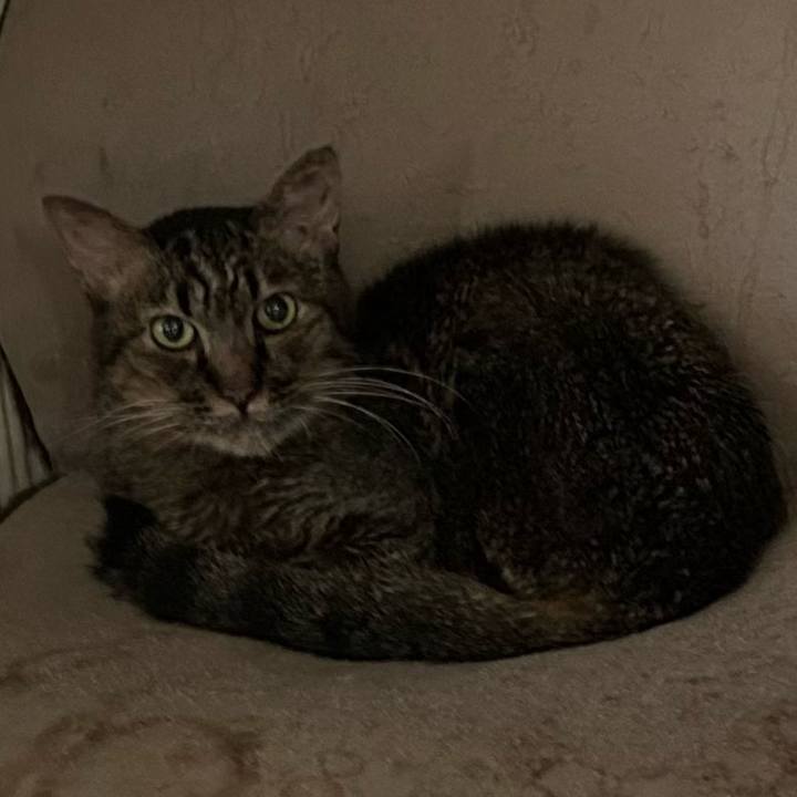 8b1cd3ee aef0 4cf8 9a30 c819fca0db96 1757645951156