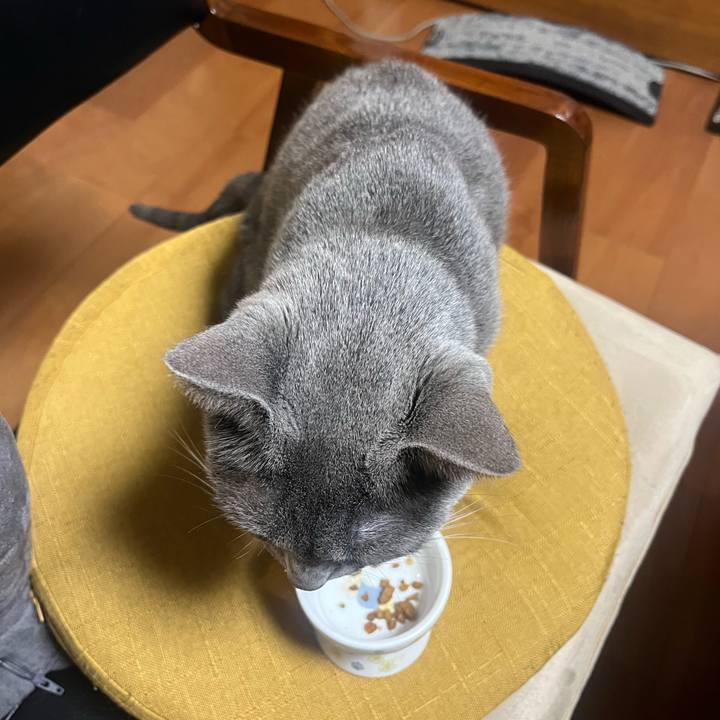 8b1cf426 14bc 4ab4 9f89 39bff3b4ebbe 1746277530380