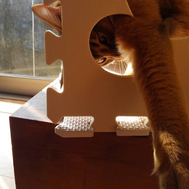 8b1d1c6d 580b 4e0a be86 78546ae79d65 1583454940790