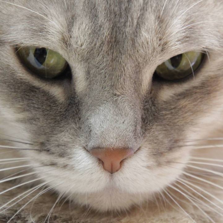 8b1d8c69 bc4a 4381 a781 fc8bd150e976 1611986203479