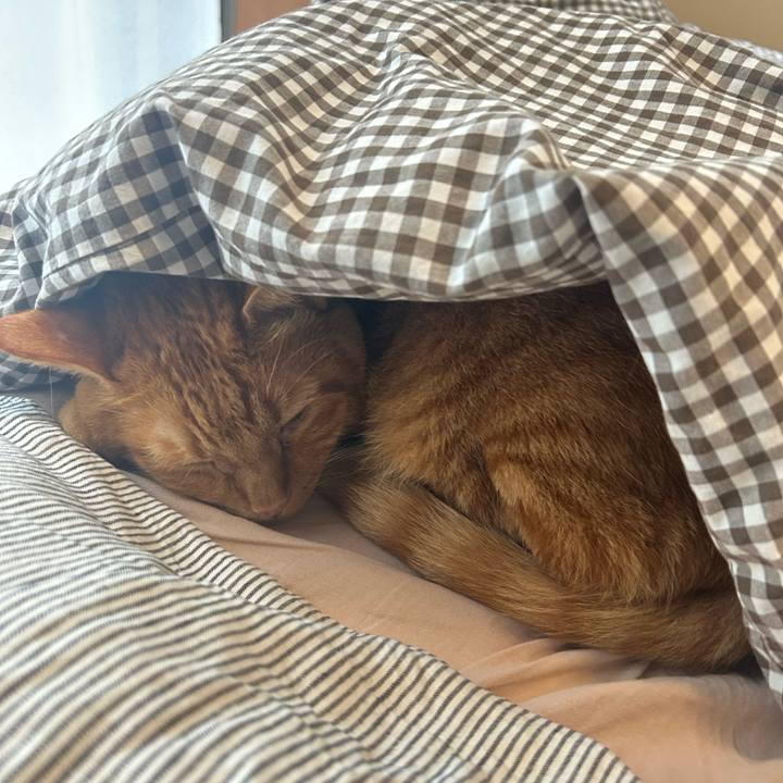 8b1d970b 1db8 445d ac1f c85560305d4e 1761453635826