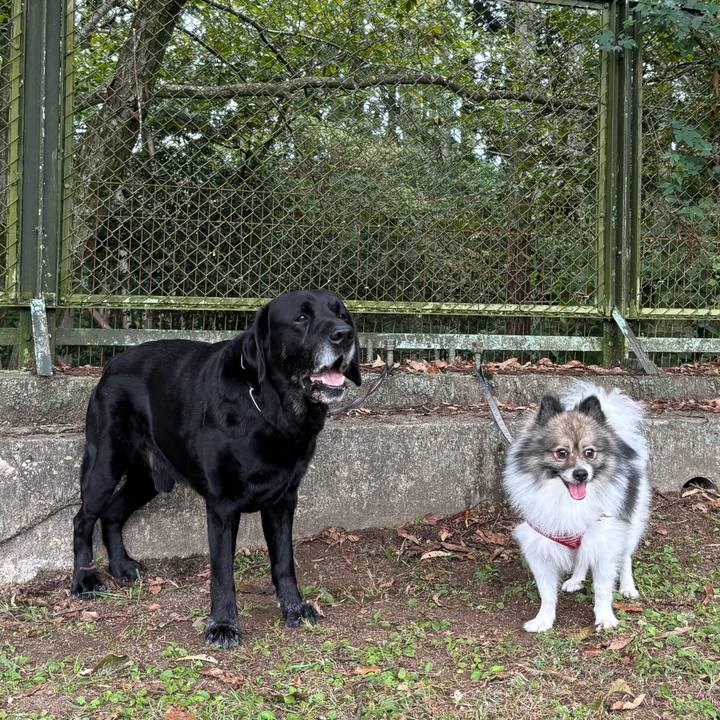 8b1daae0 ebe0 4369 86f9 db2fbd8937ce 1760179381555