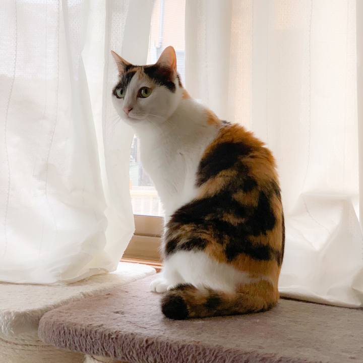 8b1ddca2 d5ad 4f89 a41c 26fa6ad924d3 1561688047369