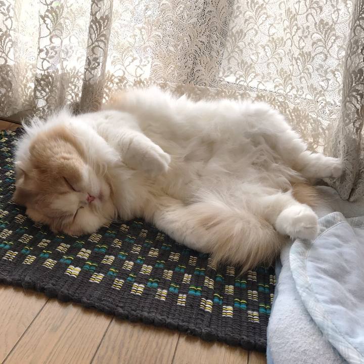 8b1e1fcb 2769 4b3e 852a 5b82fb390216 1542518698839