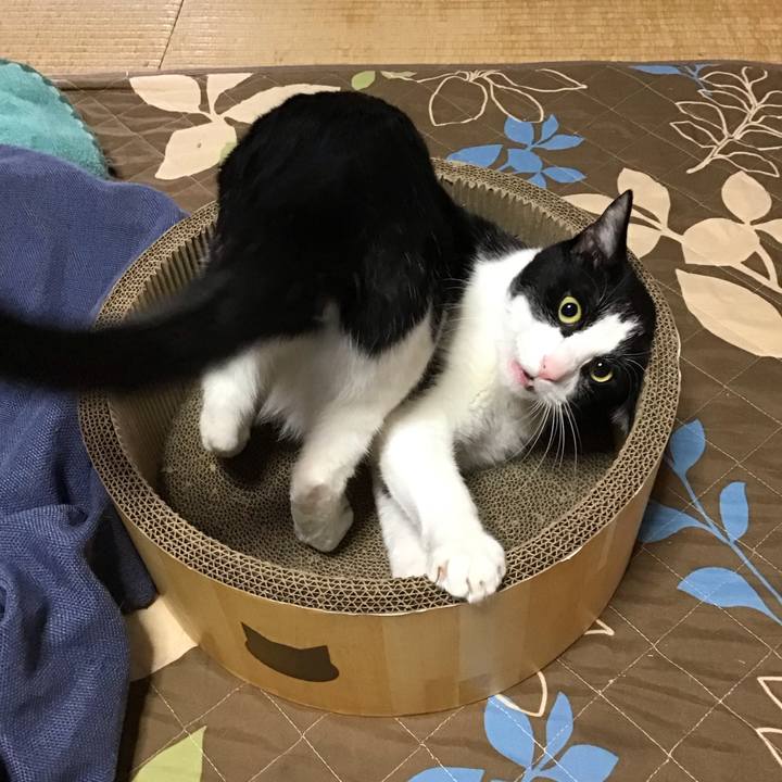 8b1e7077 a1cf 49f7 8c25 791c499d4033 1745134868281