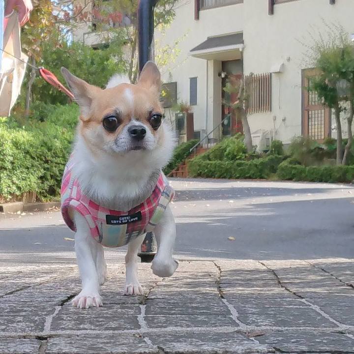 8b1e9c79 9f63 4059 bdae a106320d783b 1602993511146