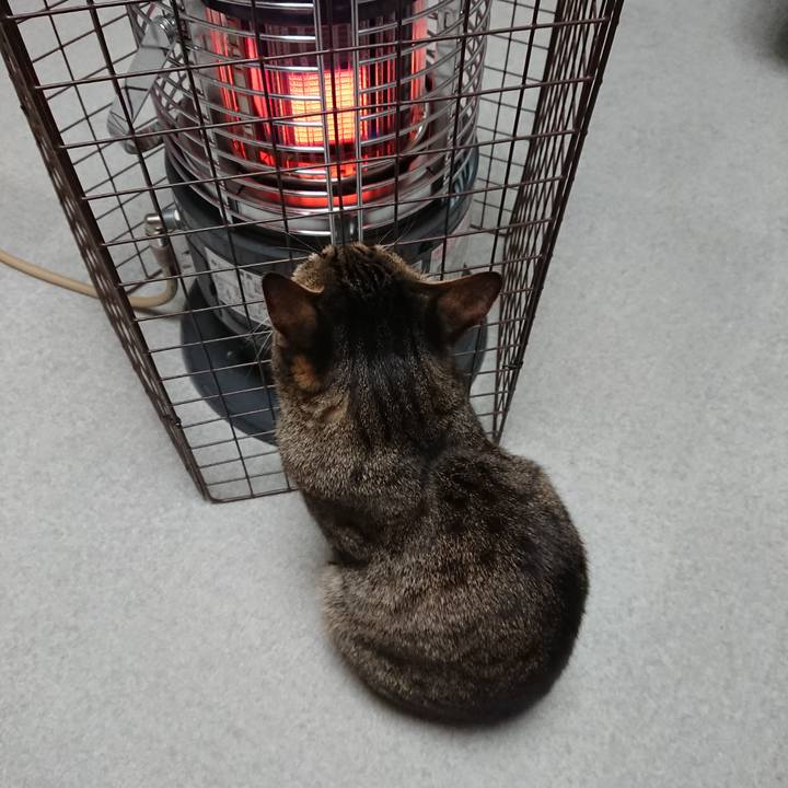 8b1eae88 38ab 4e1f a067 bce0bc9e9dbb 1550160467087