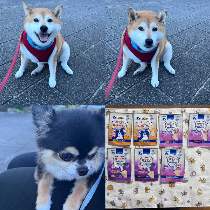 8b1eced4 a10f 41c7 b5d1 819e12c40da9 1692871225509