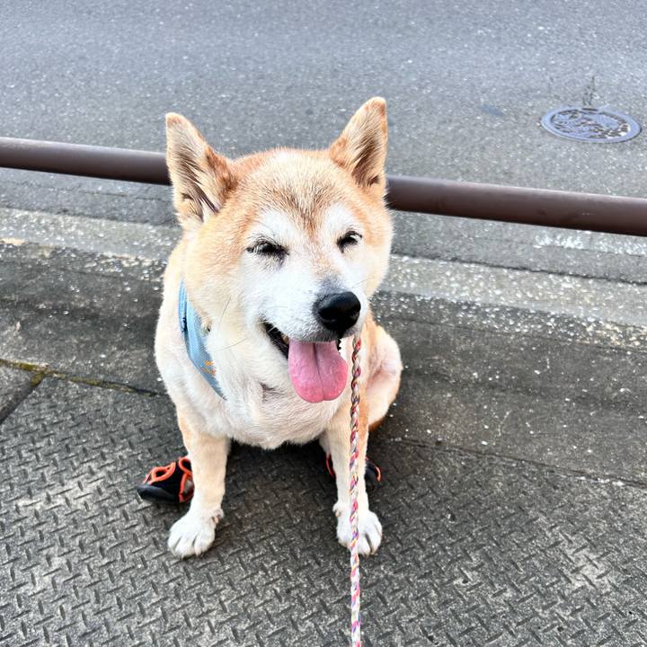 8b1f43c4 1617 4422 8b35 46fba3d82b2a 1753308404575