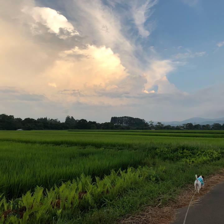 8b1f948b 3501 4a8f b8db eaa3758066a5 1565268913251