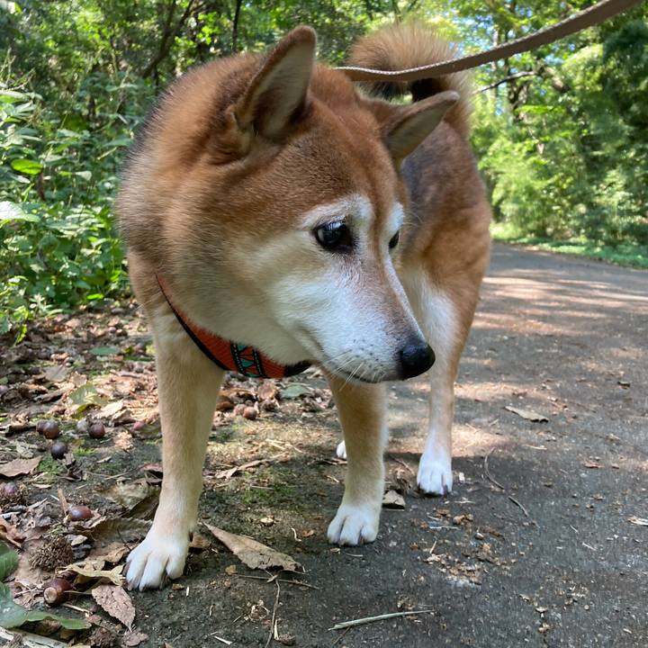 8b1fc439 9597 4a7c 8dd7 8c75d5485863 1664512615716