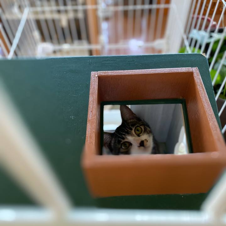 8b1fe585 6591 4bb8 8282 f1e2bacae067 1693710154945