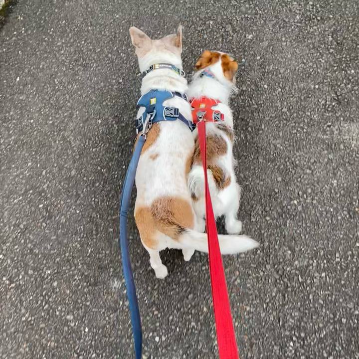 8b1fe9d8 cd8b 4e6c 8364 1a7c08c12d17 1684099005482