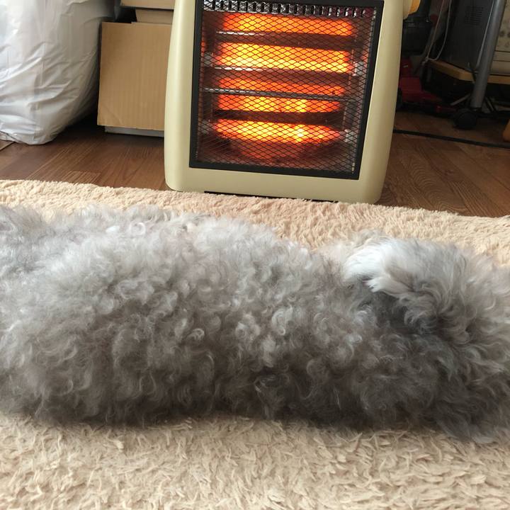 8b20132e b28d 41bf 8ab1 8657d37f656f 1574820981223