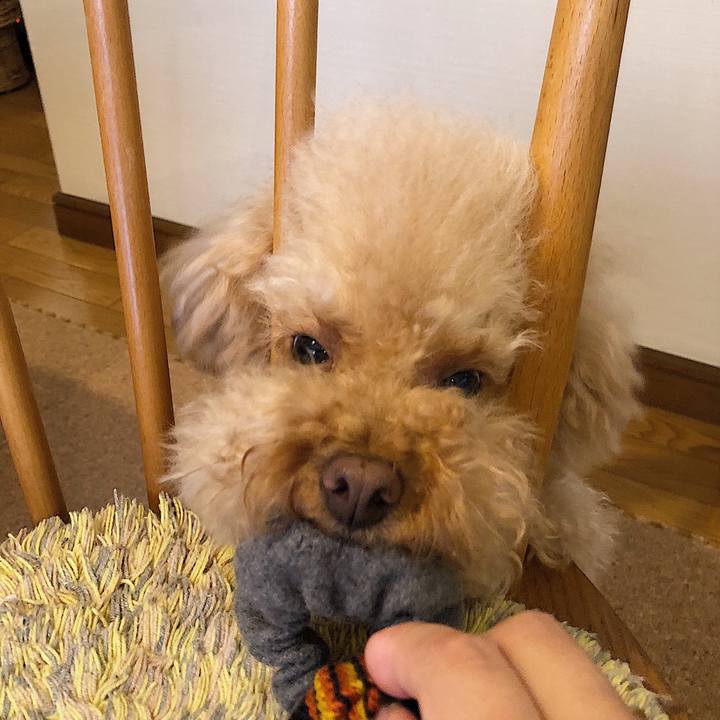 8b201524 1e3c 4284 95cf 73447eeb5dd5 1529829111762