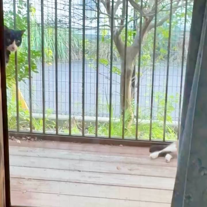 8b201745 cacb 44fc 8e77 1a1d7b570744 1755519434426