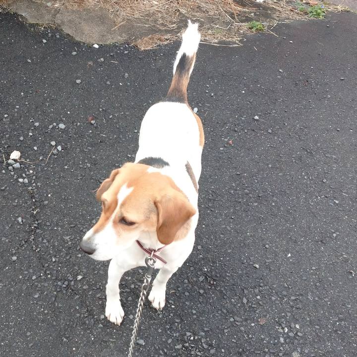 8b201dae 5358 4644 ad5c 93d8e5f80ecf 1577071704341