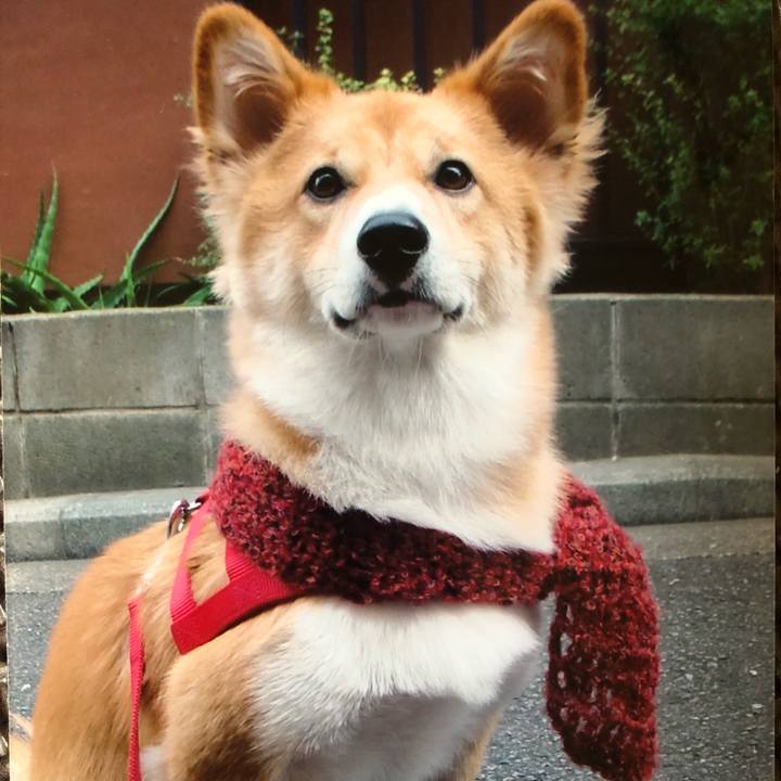 8b20917a 2565 4683 acb7 bccf1c8c754b 1540271110136