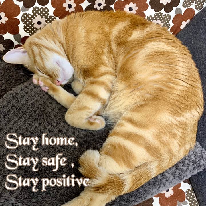 8b20a682 19b9 4130 8cd9 e4d27b5429ba 1596291872960