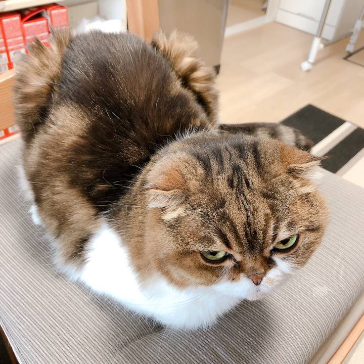 8b20bc1e 1a2a 4eca 85bd 2bc1e68f6b79 1588408562163