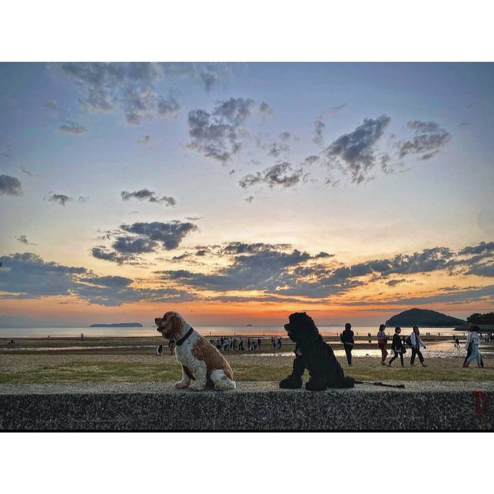 8b20d4ab 400d 423d 9205 8ad3f21fc69c 1697079667620