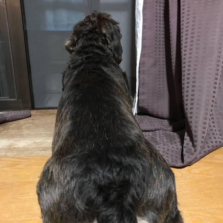 8b20dc85 d00c 478c 9bc4 d12883125985 1537542009210