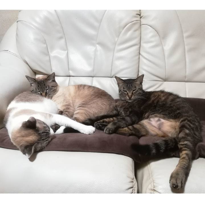 8b20e14e 5ad7 455e b9c0 d7be1d29a7e7 1594218296560