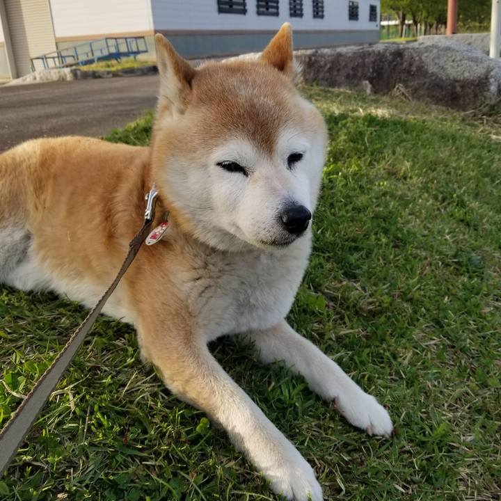 8b20fba8 ed71 49fc b687 515b64930ba6 1682669086287