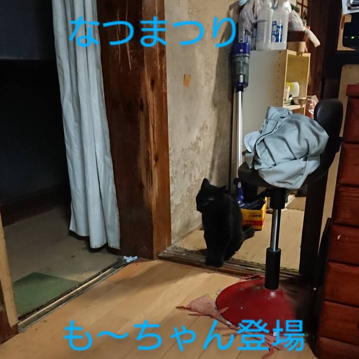 8b211298 c91d 4667 b0df ecf78ebd413a 1661602035397