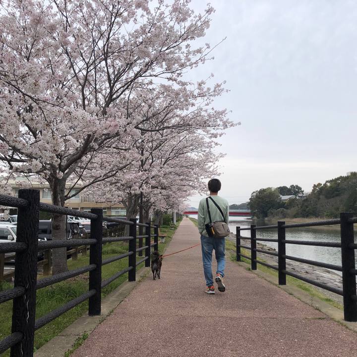 8b211363 2636 4a07 b97f 5d16b5a397ed 1680612508388