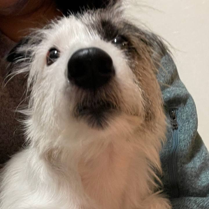 8b2133e6 dad4 4807 a9c7 1811334a52f3 1606094009087