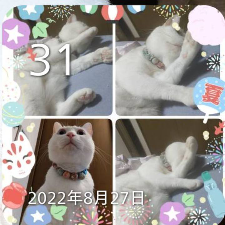 8b213eee c30b 4722 a8ab 5126cfc6be38 1756637888541