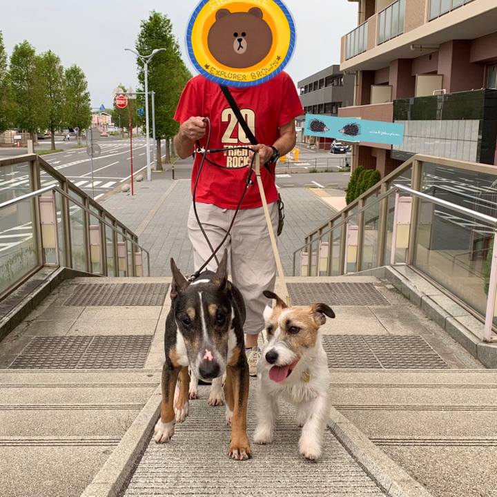 8b214b01 73b5 41f4 a62c 70ee9e85f916 1588667666054