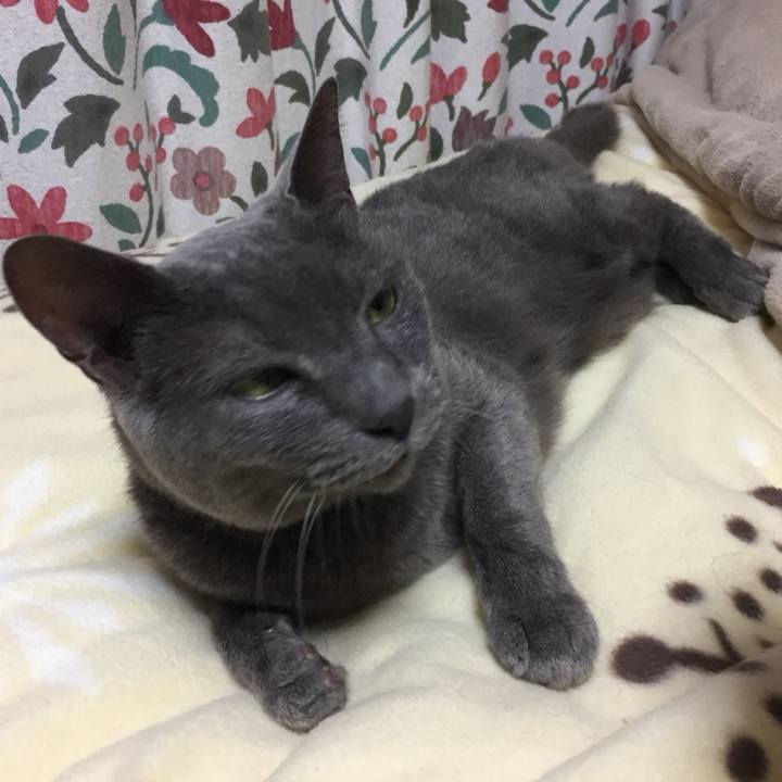 8b2154a7 067f 48de 9c27 66773349afeb 1526727539541