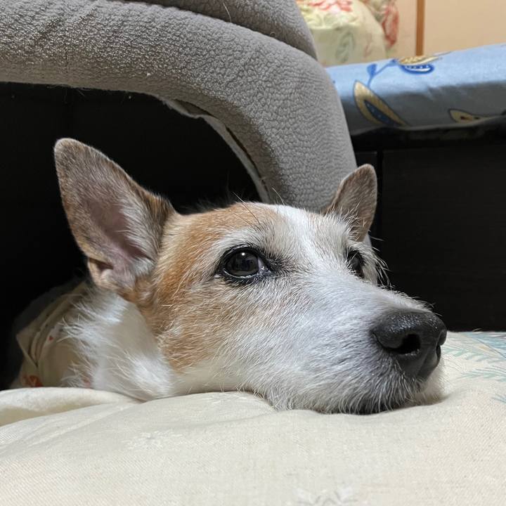 8b222830 d2f5 4a04 ac93 2e86895e1159 1732144694452