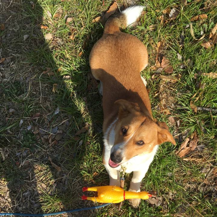 8b2228dd db29 4501 83cf 11ae3f9ea53e 1615764116892