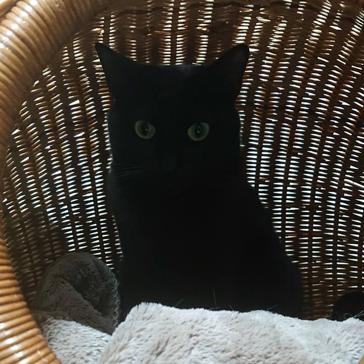 8b223701 fe63 4c58 99a3 04750338a9b8 1579015150206