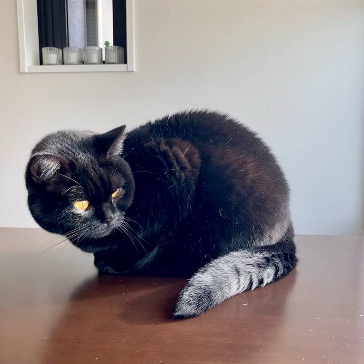 8b2272ed a7d0 4024 bed2 a050a7828388 1639026358450