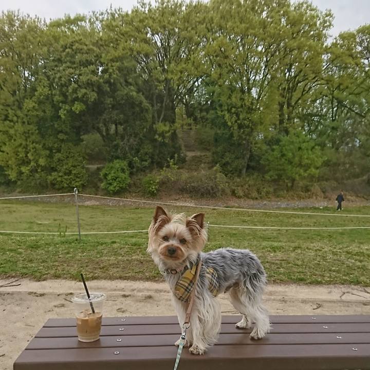 8b22968e 5552 4119 905b 5b6f3b9d3715 1523246664634