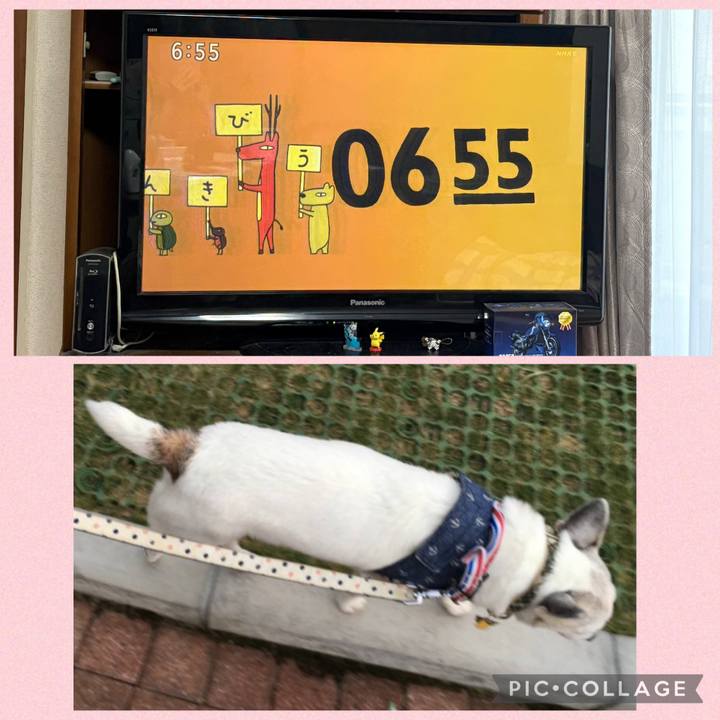 8b22fae1 8248 4683 8909 d300da24d038 1758837452534