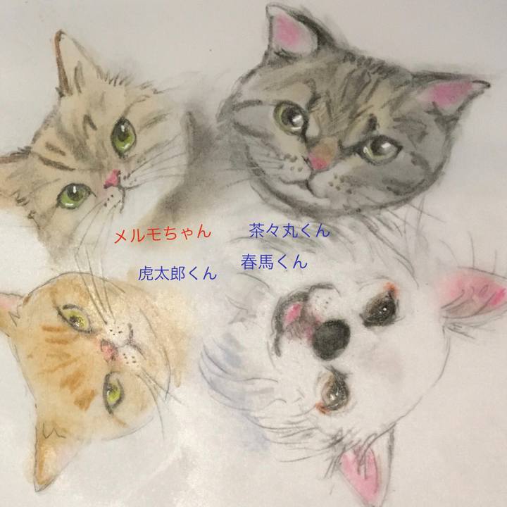 8b230fea 1bc1 478b 8964 dfdb09d9aeea 1607515258166